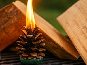 Kiefernzapfen Feuer- Anzündhilfe