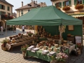 3x6 m ST-HEX45 seintega