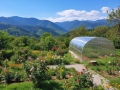 4x4 m AGRONOM 4mm