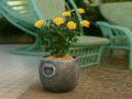 Lillepott STONE S