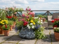 Lillepott BAG Silver