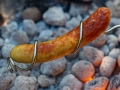 Vorstigrillvarras 74 cm