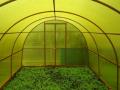 6mm 6 m TITANPLAST Yellow