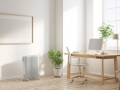 Õliradiaator 2500 W