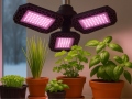 Fütolamp 108 LED