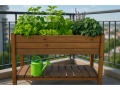 Raised bed with 6 sections