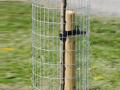 fencing-and-garden-stakes-9