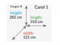 Ronimistorn Carol 1