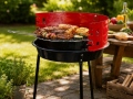 Anglinis grilis OpenFire-33
