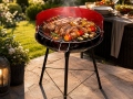Anglinis grilis OpenFire-33