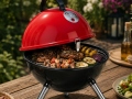 Anglinis grilis FireBall-31