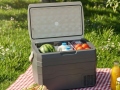 Külmakast FRED 40L