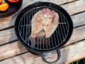 Grill ja suitsuahju 2in1