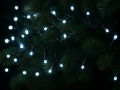 LED pikendus BLACK CW-100