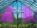 Fütolamp 4x20 LED
