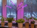 Fütolamp 4x20 LED