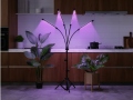 Fütolamp 4x20 LED