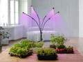 Fütolamp 4x20 LED