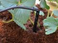 water-timer-for-irrigation-ecodrop-7