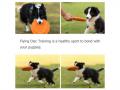 Koera frisbee pehme