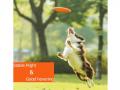 Koera frisbee pehme