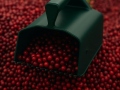 Marjakorjaja BerryMaster