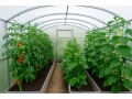 3x10 m Gardener'300 4mm