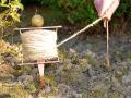 Aianöör COPPER
