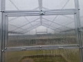 3x10 m VICTORIA Line 6mm