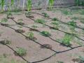 water-timer-for-irrigation-ecodrop-9