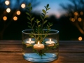 Vaza Augalų Ikebana S
