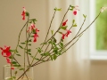 Vaza Augalų Ikebana S