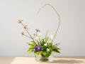 Vaza Augalų Ikebana S
