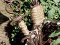 Peenramarkerid RUSTED