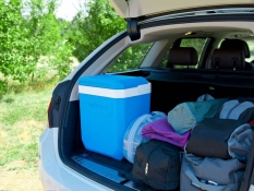 Külmakast Icetime® Plus 26L