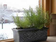 Flower pots PLANIKA S