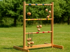 Lauko žaidimas Spin Ladder