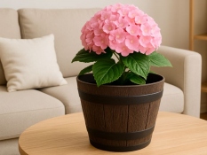 Flower pots MUSISALY
