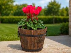 Flower pots ANTIQUE Ø8x11 cm