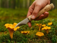 Pilzmesser mit Bürste