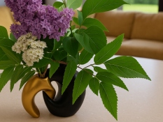 Vases Black&Gold