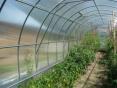 AVERTO greenhouses