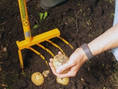 Kartoffelroder