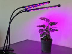 Lamp for plant growth 3x20 LED