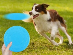 Koera frisbee pehme