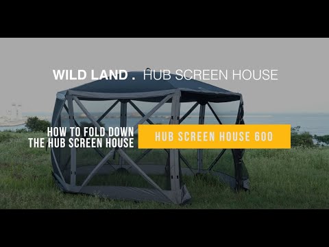 Video 1