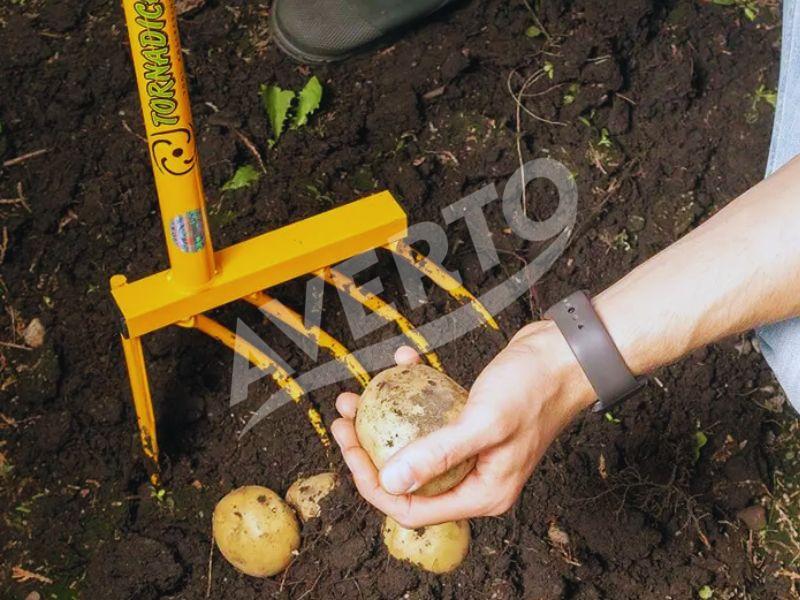 Картофелекопатель