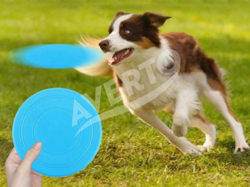 Koera frisbee pehme