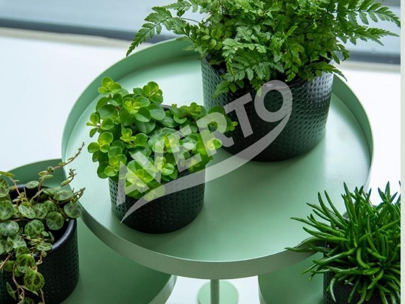 Ümmargune alus koos kinnitusega M